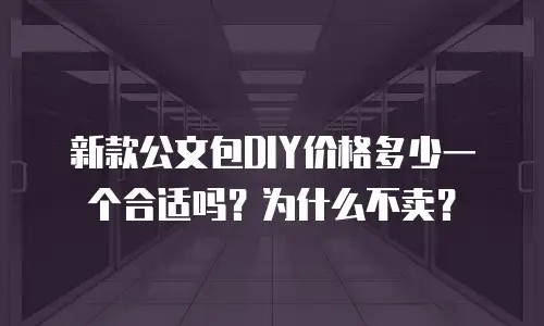 新款公文包DIY价格多少一个合适吗？为什么不卖？