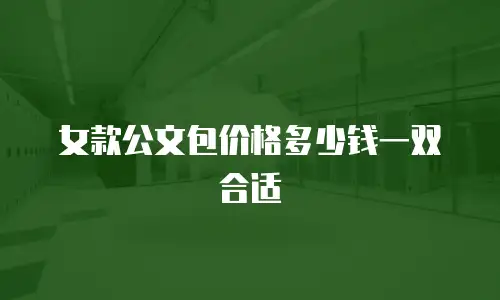 女款公文包价格多少钱一双合适