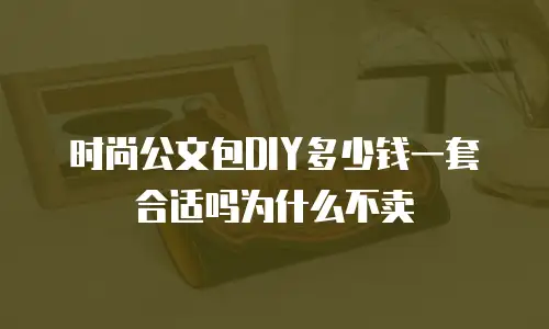 时尚公文包DIY多少钱一套合适吗为什么不卖