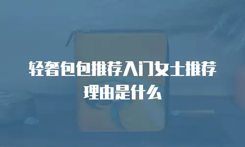 轻奢包包推荐入门女士推荐理由是什么
