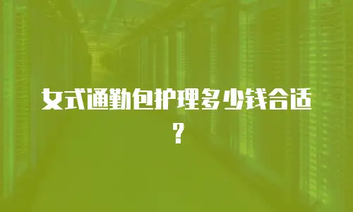 女式通勤包护理多少钱合适？