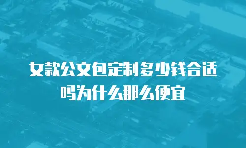 女款公文包定制多少钱合适吗为什么那么便宜