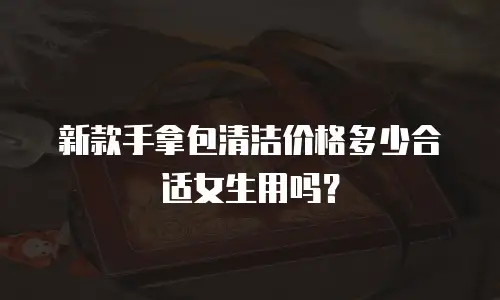 新款手拿包清洁价格多少合适女生用吗？