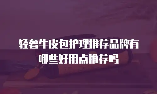轻奢牛皮包护理推荐品牌有哪些好用点推荐吗