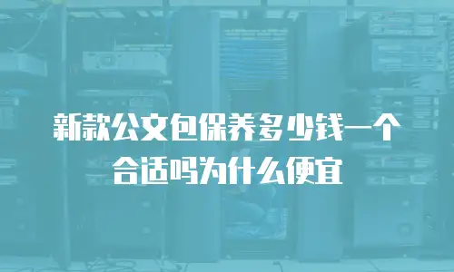 新款公文包保养多少钱一个合适吗为什么便宜