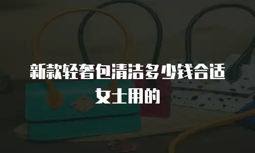新款轻奢包清洁多少钱合适女士用的