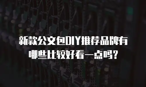 新款公文包DIY推荐品牌有哪些比较好看一点吗？