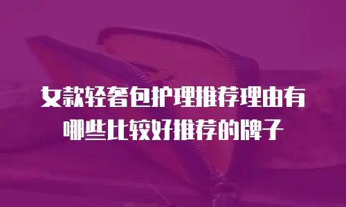 女款轻奢包护理推荐理由有哪些比较好推荐的牌子