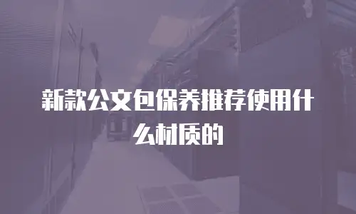 新款公文包保养推荐使用什么材质的