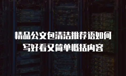 精品公文包清洁推荐语如何写好看又简单概括内容