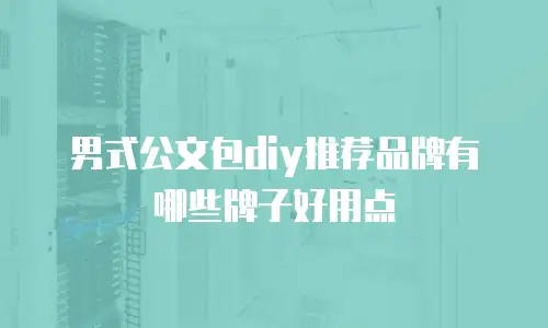 男式公文包diy推荐品牌有哪些牌子好用点
