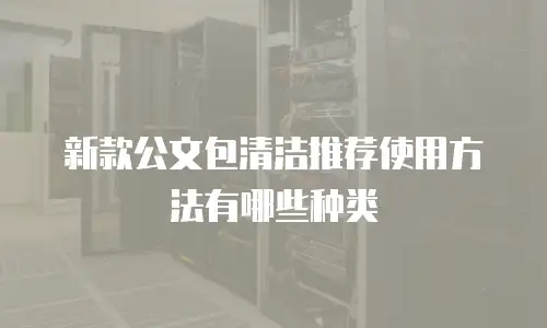 新款公文包清洁推荐使用方法有哪些种类