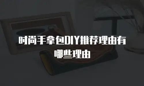 时尚手拿包DIY推荐理由有哪些理由