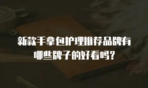 新款手拿包护理推荐品牌有哪些牌子的好看吗？