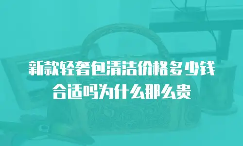 新款轻奢包清洁价格多少钱合适吗为什么那么贵
