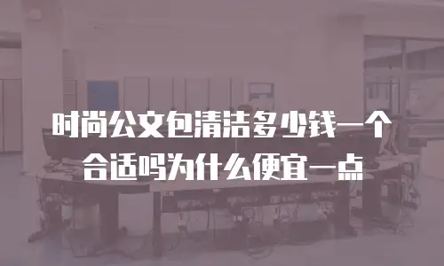 时尚公文包清洁多少钱一个合适吗为什么便宜一点