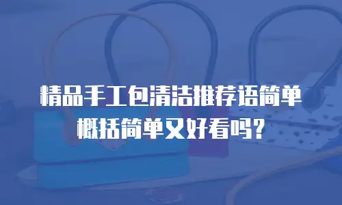 精品手工包清洁推荐语简单概括简单又好看吗？