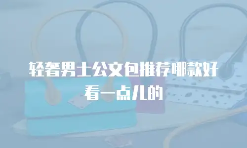 轻奢男士公文包推荐哪款好看一点儿的