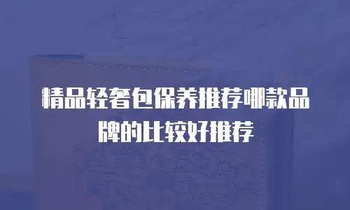 精品轻奢包保养推荐哪款品牌的比较好推荐