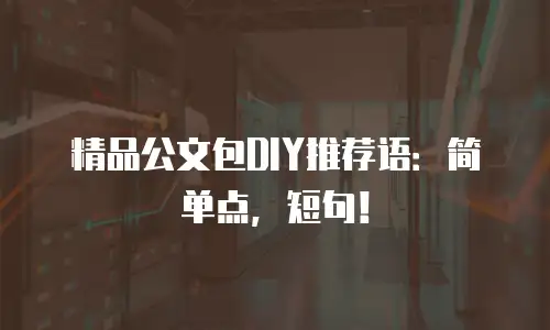 精品公文包DIY推荐语：简单点，短句！