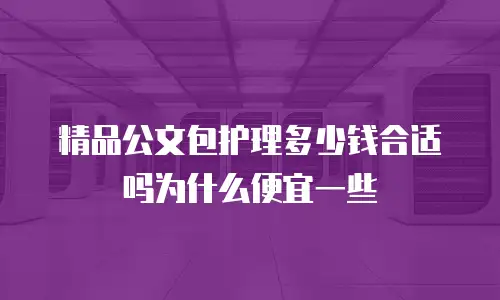 精品公文包护理多少钱合适吗为什么便宜一些