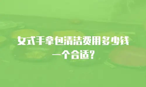 女式手拿包清洁费用多少钱一个合适？