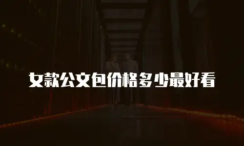 女款公文包价格多少最好看