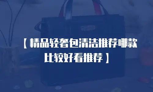 【精品轻奢包清洁推荐哪款比较好看推荐】