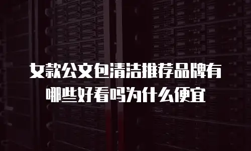 女款公文包清洁推荐品牌有哪些好看吗为什么便宜