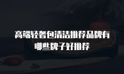 高端轻奢包清洁推荐品牌有哪些牌子好推荐