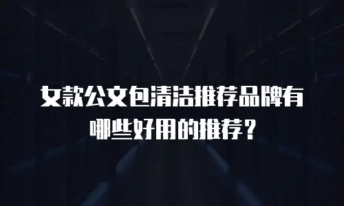 女款公文包清洁推荐品牌有哪些好用的推荐？