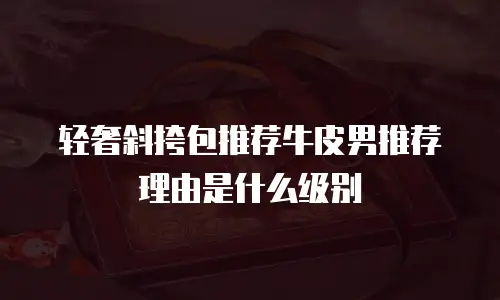 轻奢斜挎包推荐牛皮男推荐理由是什么级别