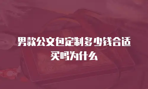 男款公文包定制多少钱合适买吗为什么