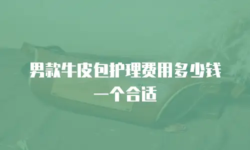 男款牛皮包护理费用多少钱一个合适