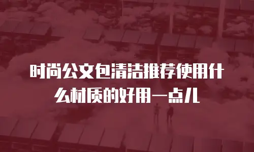 时尚公文包清洁推荐使用什么材质的好用一点儿