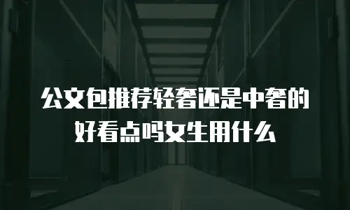 公文包推荐轻奢还是中奢的好看点吗女生用什么