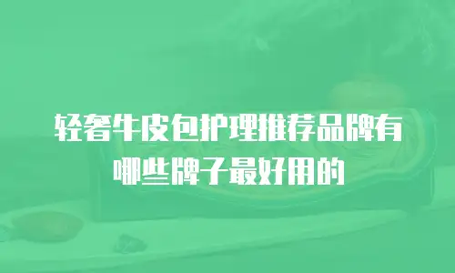 轻奢牛皮包护理推荐品牌有哪些牌子最好用的