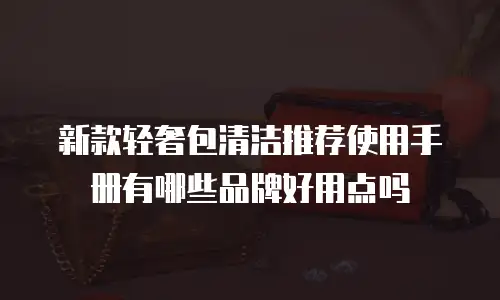 新款轻奢包清洁推荐使用手册有哪些品牌好用点吗