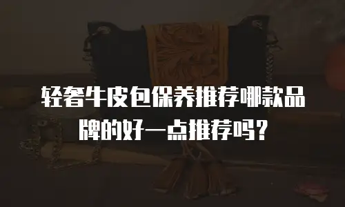 轻奢牛皮包保养推荐哪款品牌的好一点推荐吗？