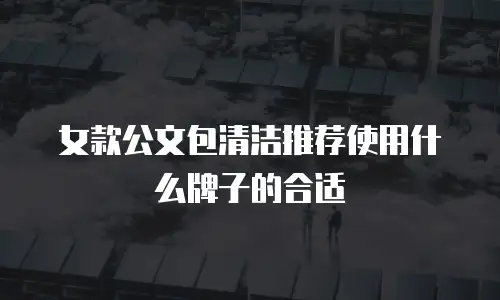 女款公文包清洁推荐使用什么牌子的合适
