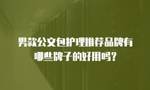 男款公文包护理推荐品牌有哪些牌子的好用吗？