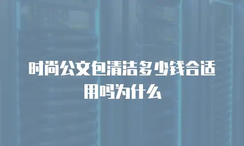 时尚公文包清洁多少钱合适用吗为什么