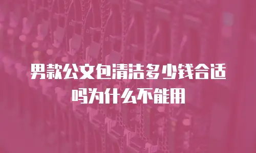男款公文包清洁多少钱合适吗为什么不能用