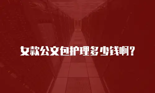 女款公文包护理多少钱啊？