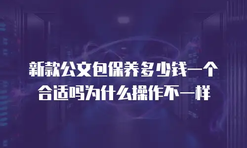 新款公文包保养多少钱一个合适吗为什么操作不一样
