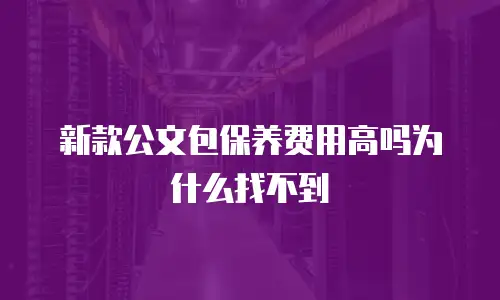 新款公文包保养费用高吗为什么找不到