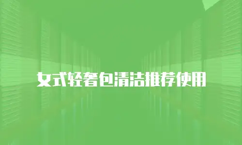 女式轻奢包清洁推荐使用