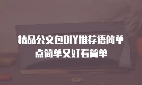 精品公文包DIY推荐语简单点简单又好看简单
