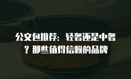 公文包推荐：轻奢还是中奢？那些值得信赖的品牌