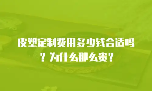 皮塑定制费用多少钱合适吗？为什么那么贵？